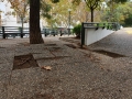 plazamayor5