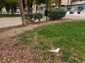 plazamayor8