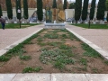 plazamayor9