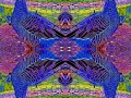 IMG_20200409_150948