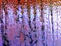 IMG_20200409_151205